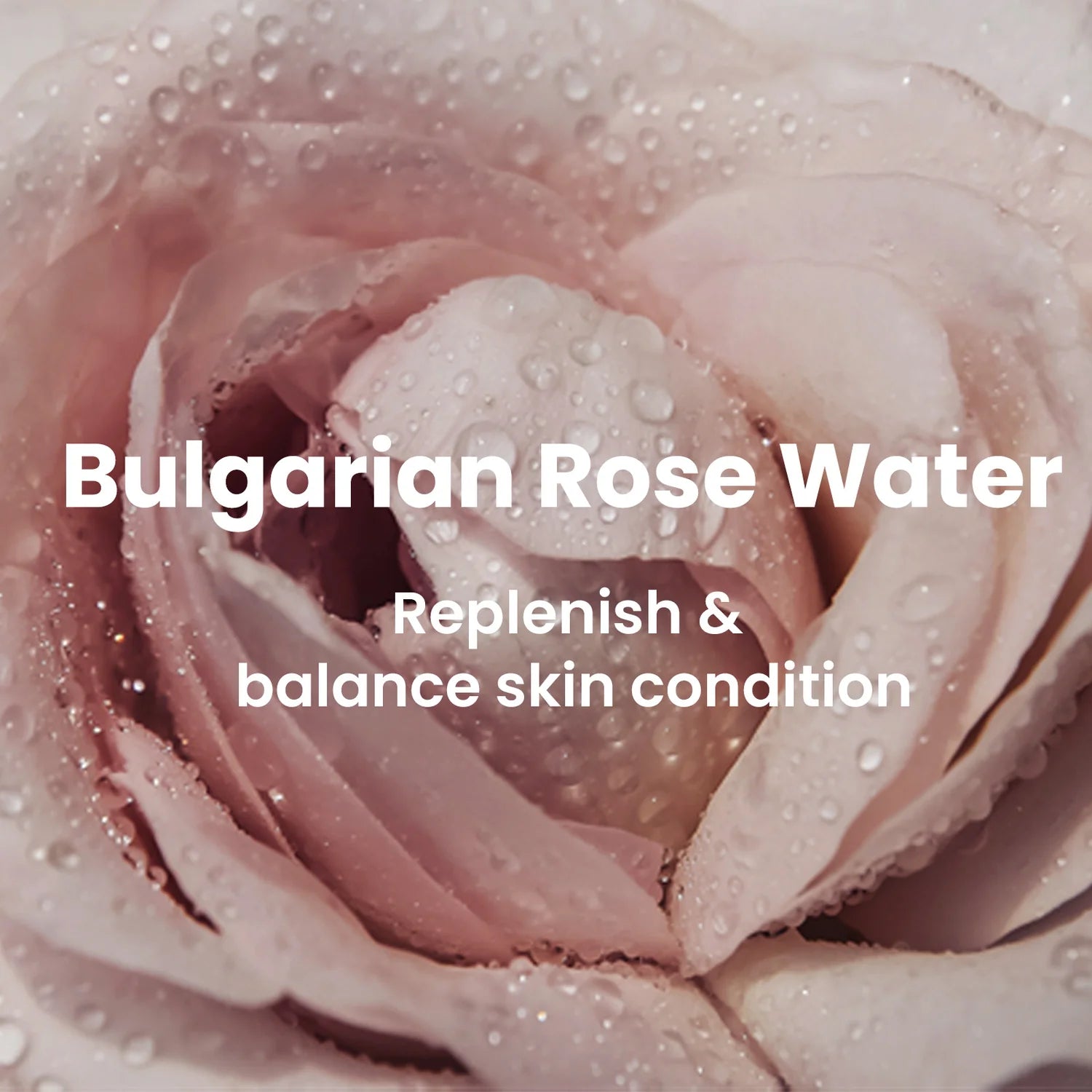 Heimish Bulgarian Rose Satin Cream